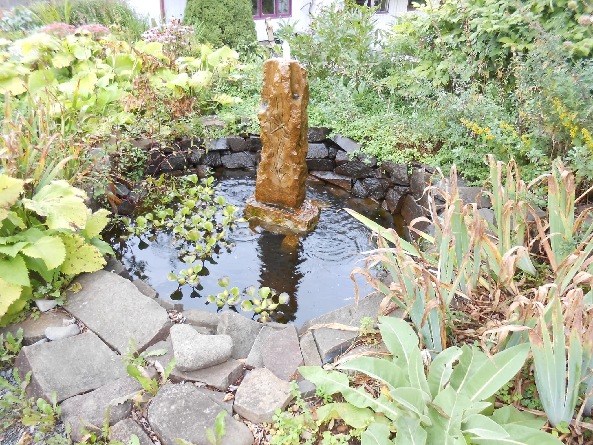 photo Deep Ocean Landscape Design