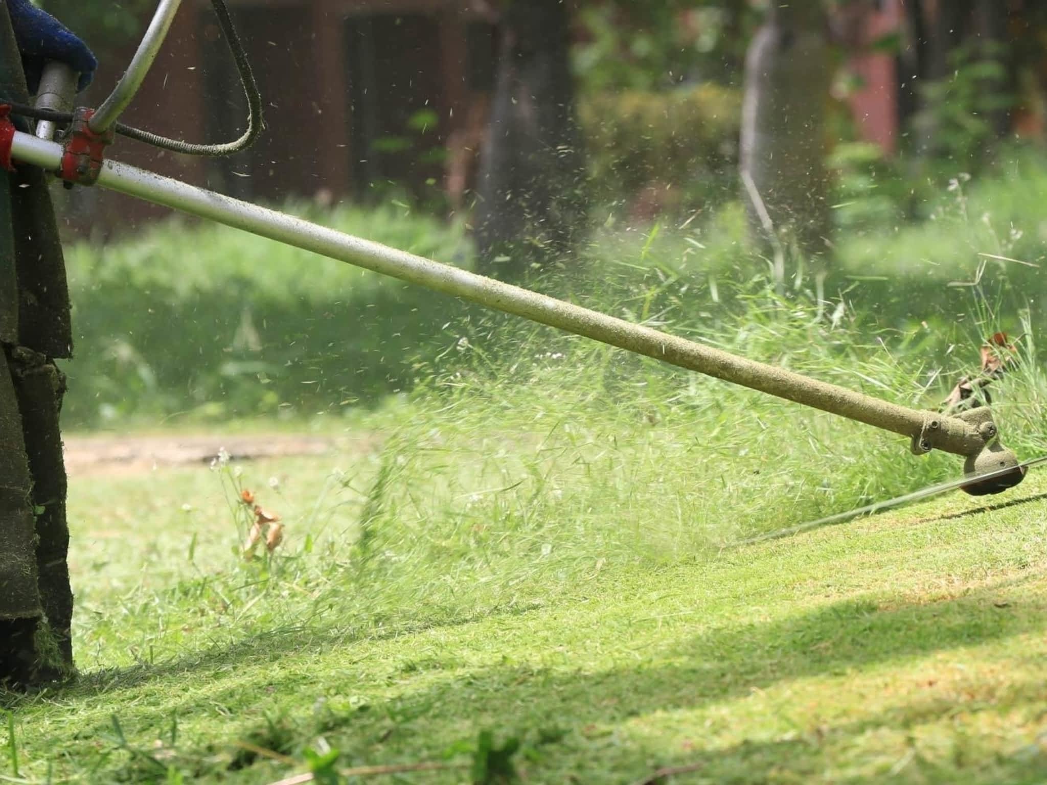 photo Be Yard Smart Inc