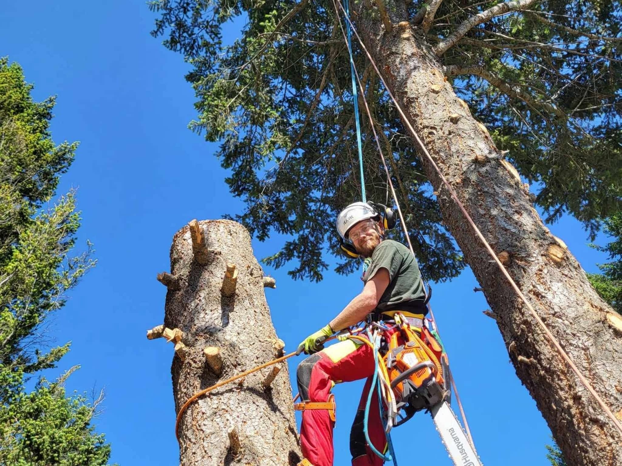 photo Hinni Tree Services