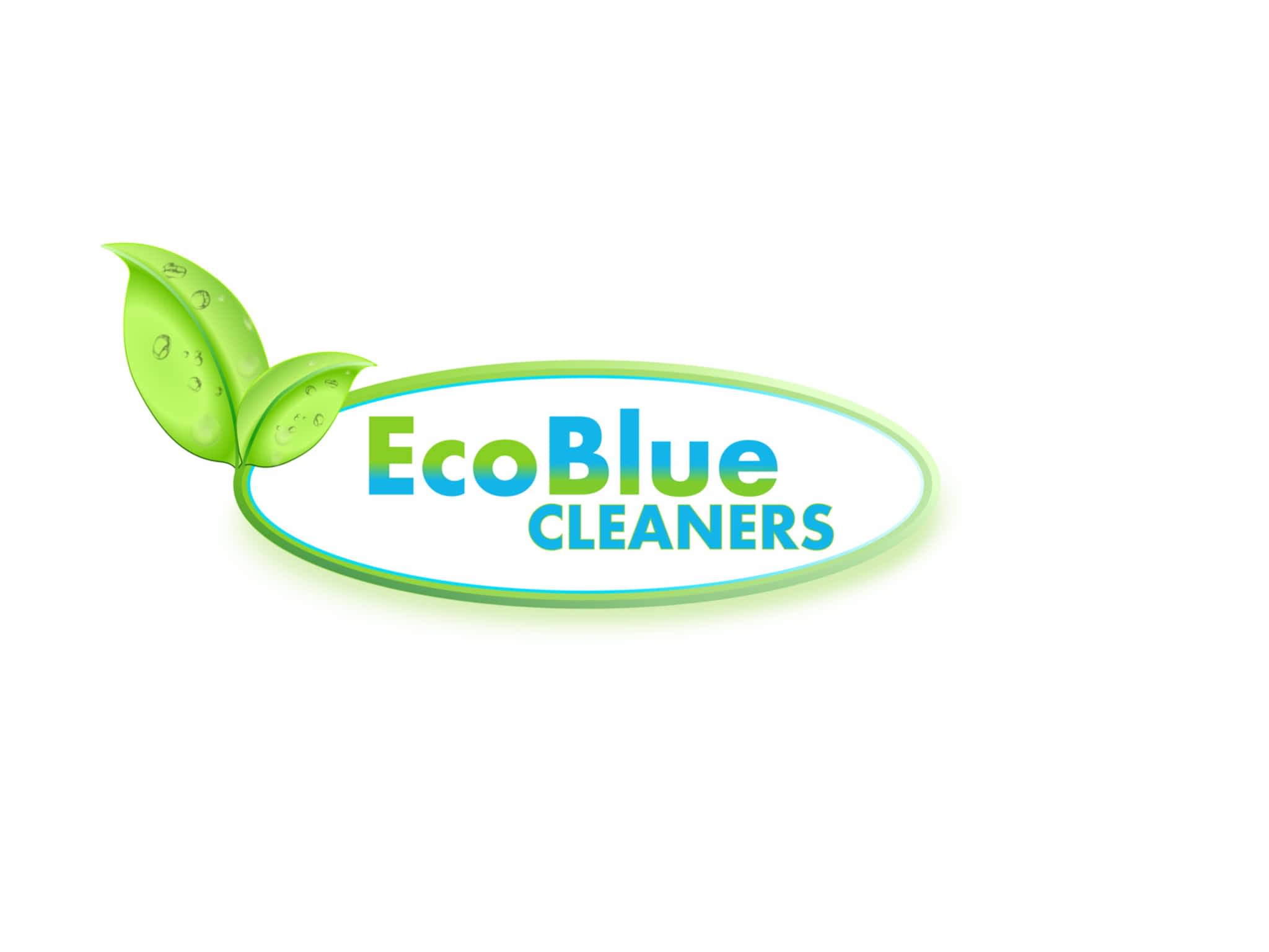 photo EcoBlue Cleaners