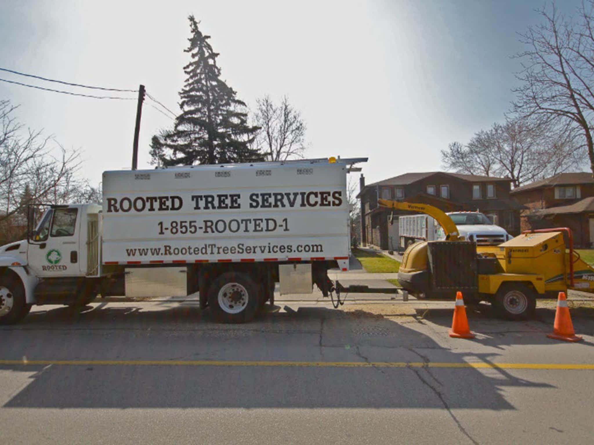 photo Rooted Tree Services