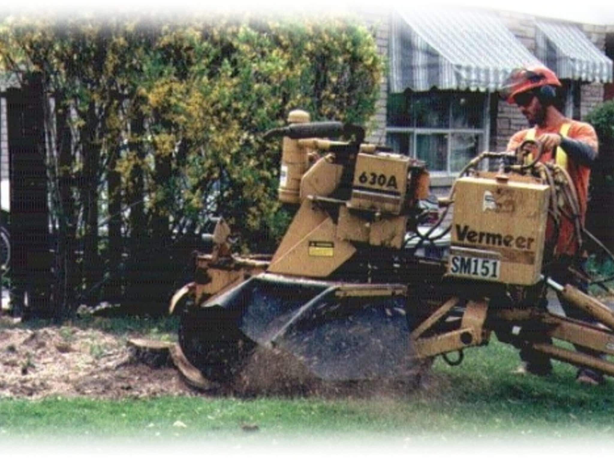 photo Complete Tree Care