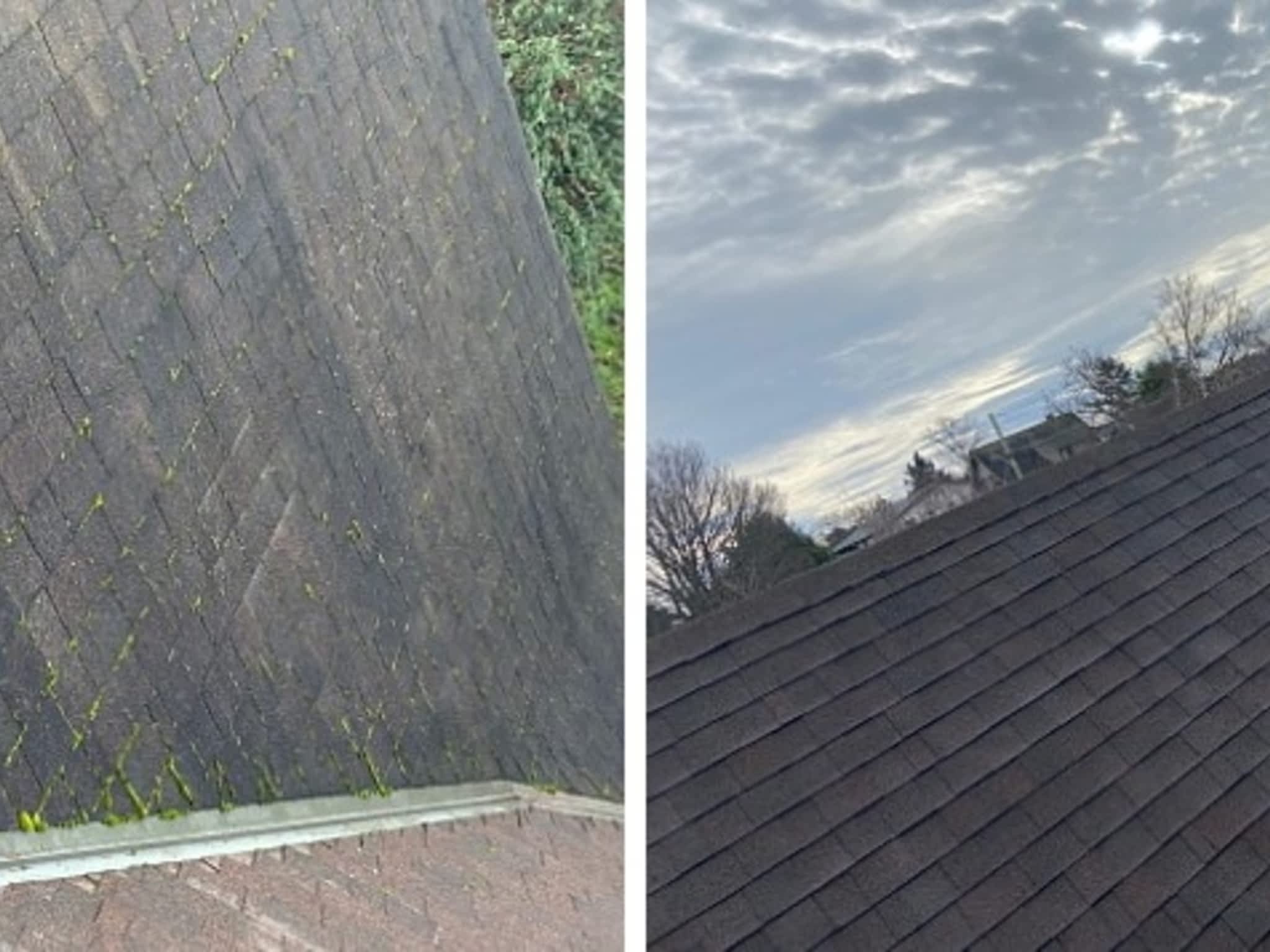 photo Lifecycle Roofing