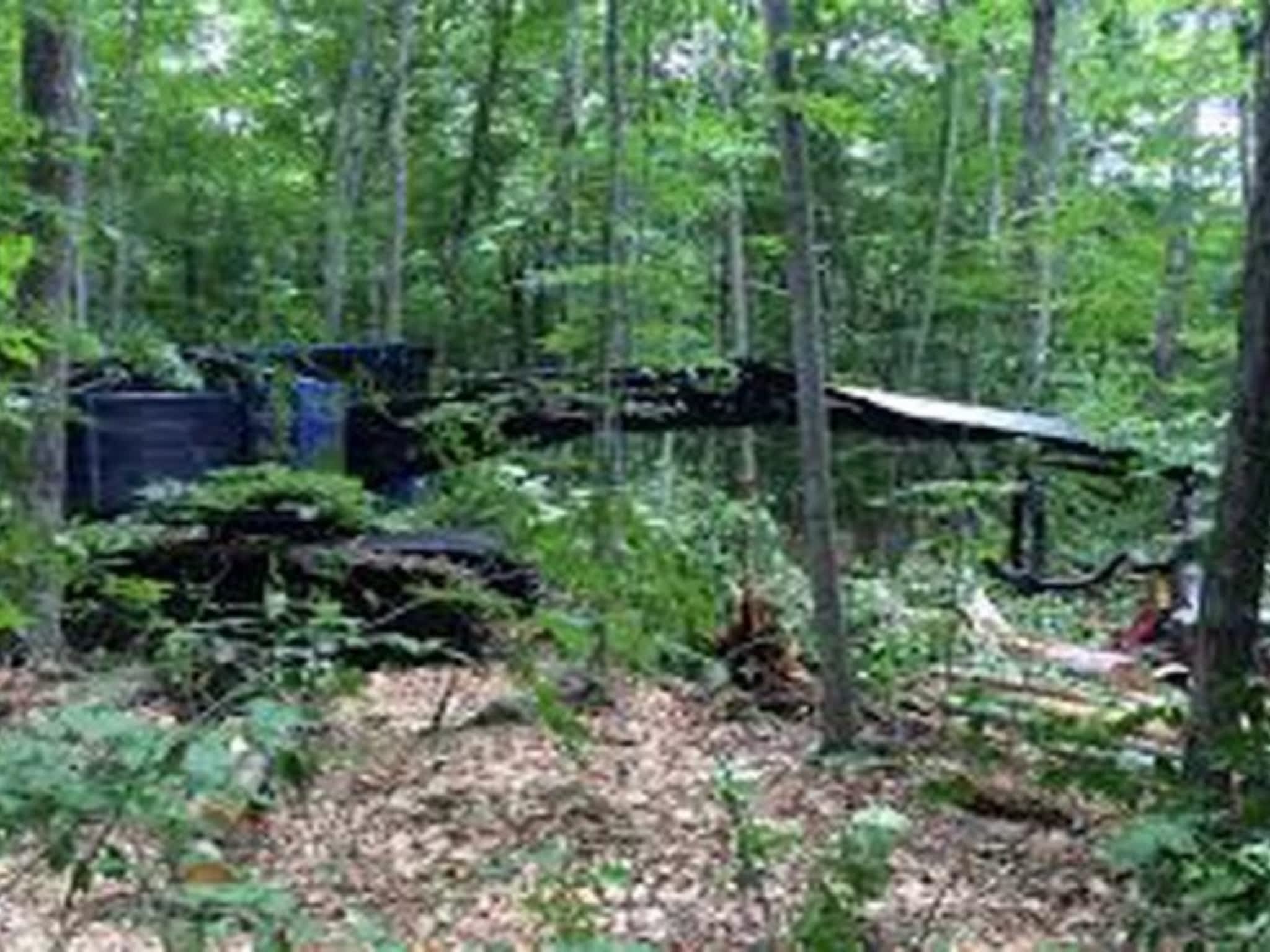 photo Multiforet Pelletier