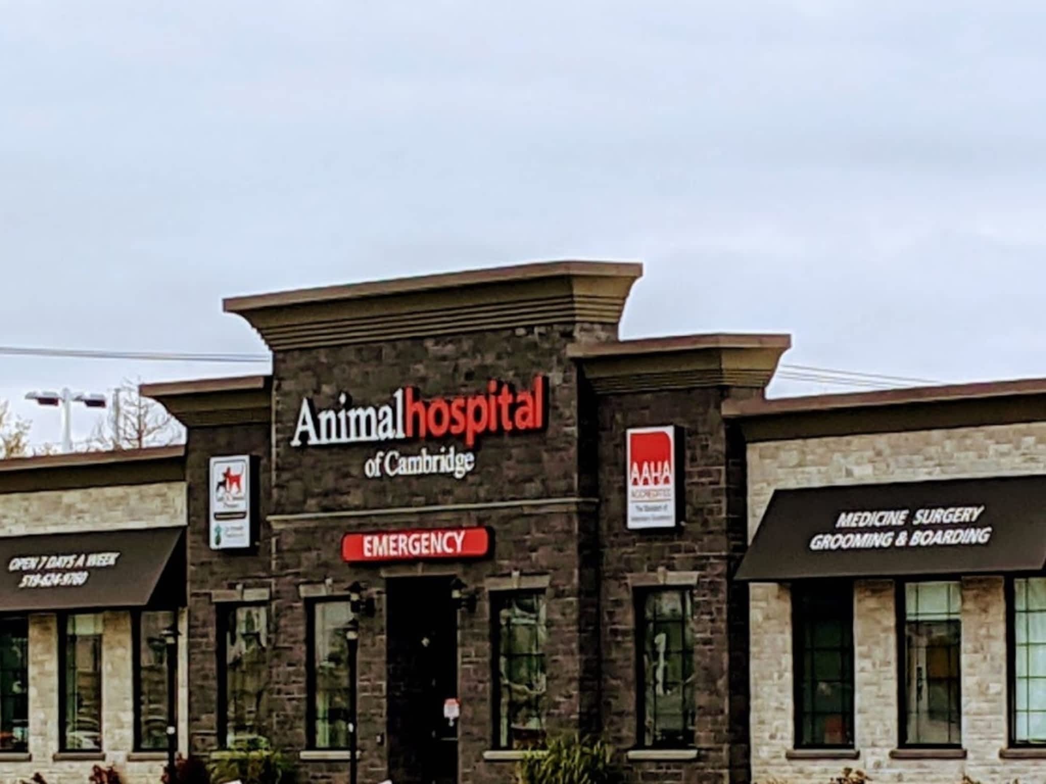 photo Animal Hospital of Cambridge