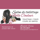 Salon de Toilettage Belle Couleur - Logo