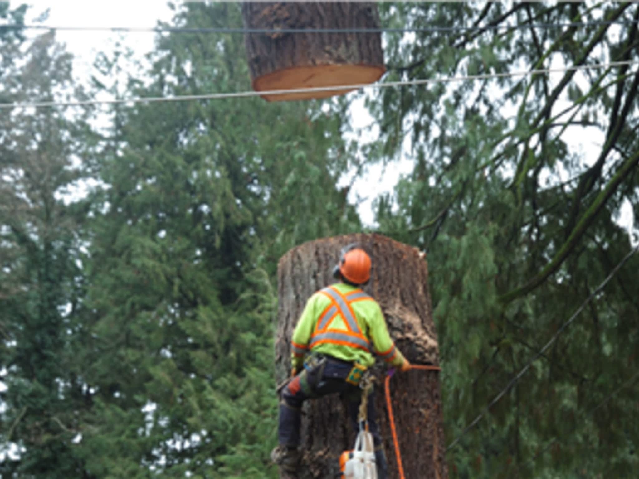 photo Pacific West Tree Service