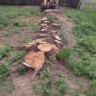 Mike's Tree & Stump Removal - Landscape Contractors & Designers