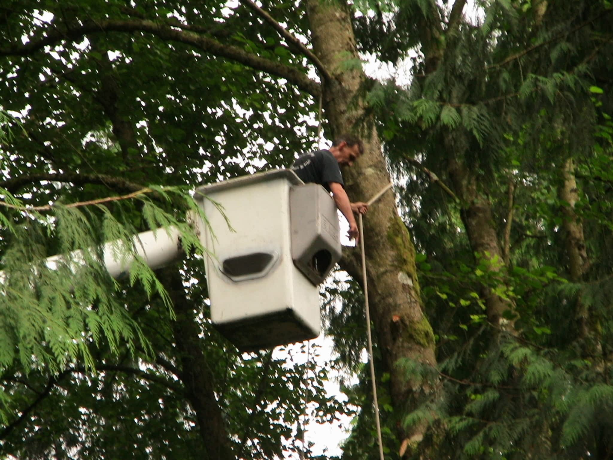photo Pro Tree Services