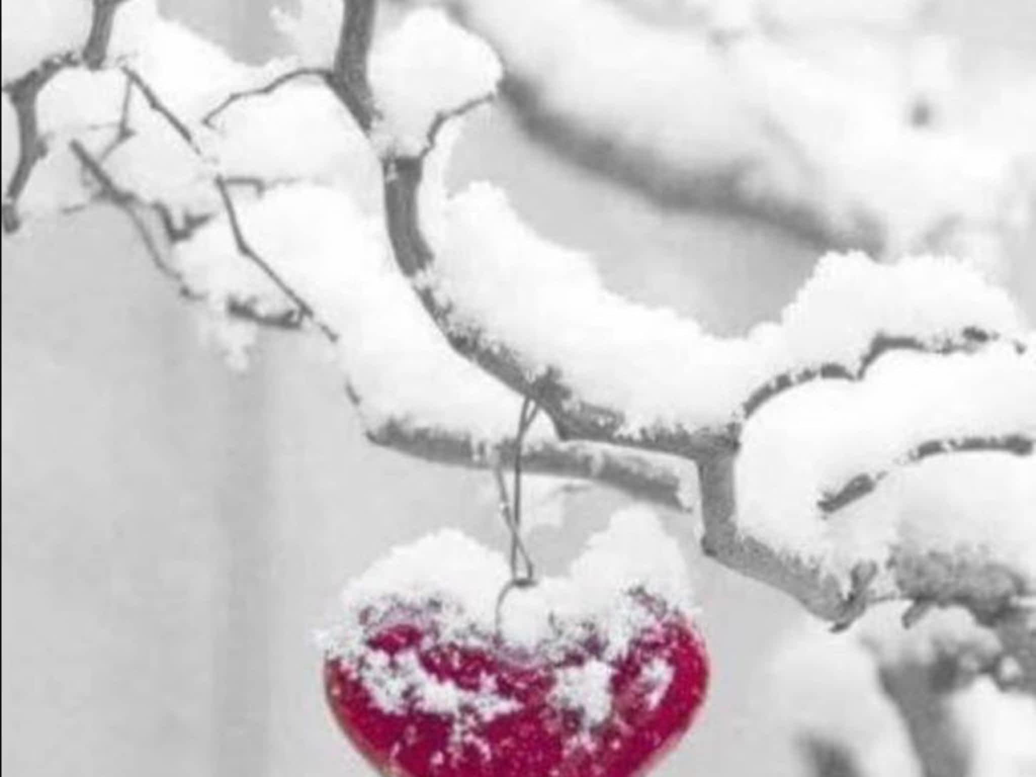 photo Fleuriste St-Eustache