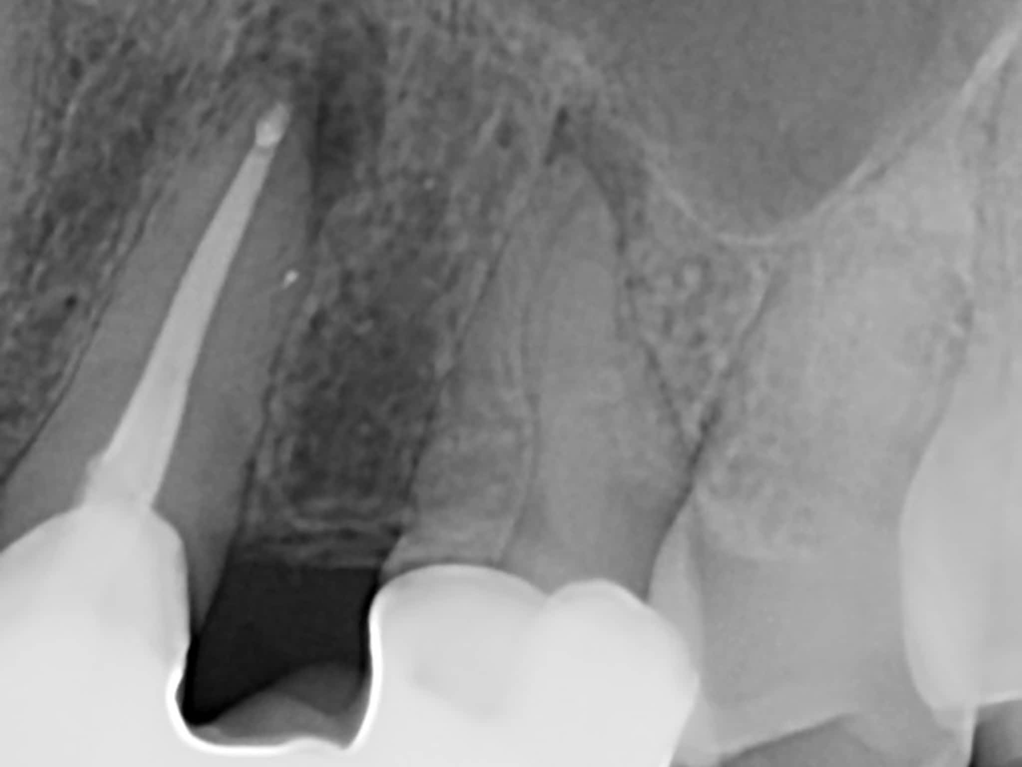 photo Dr. Elie M. Wolfson