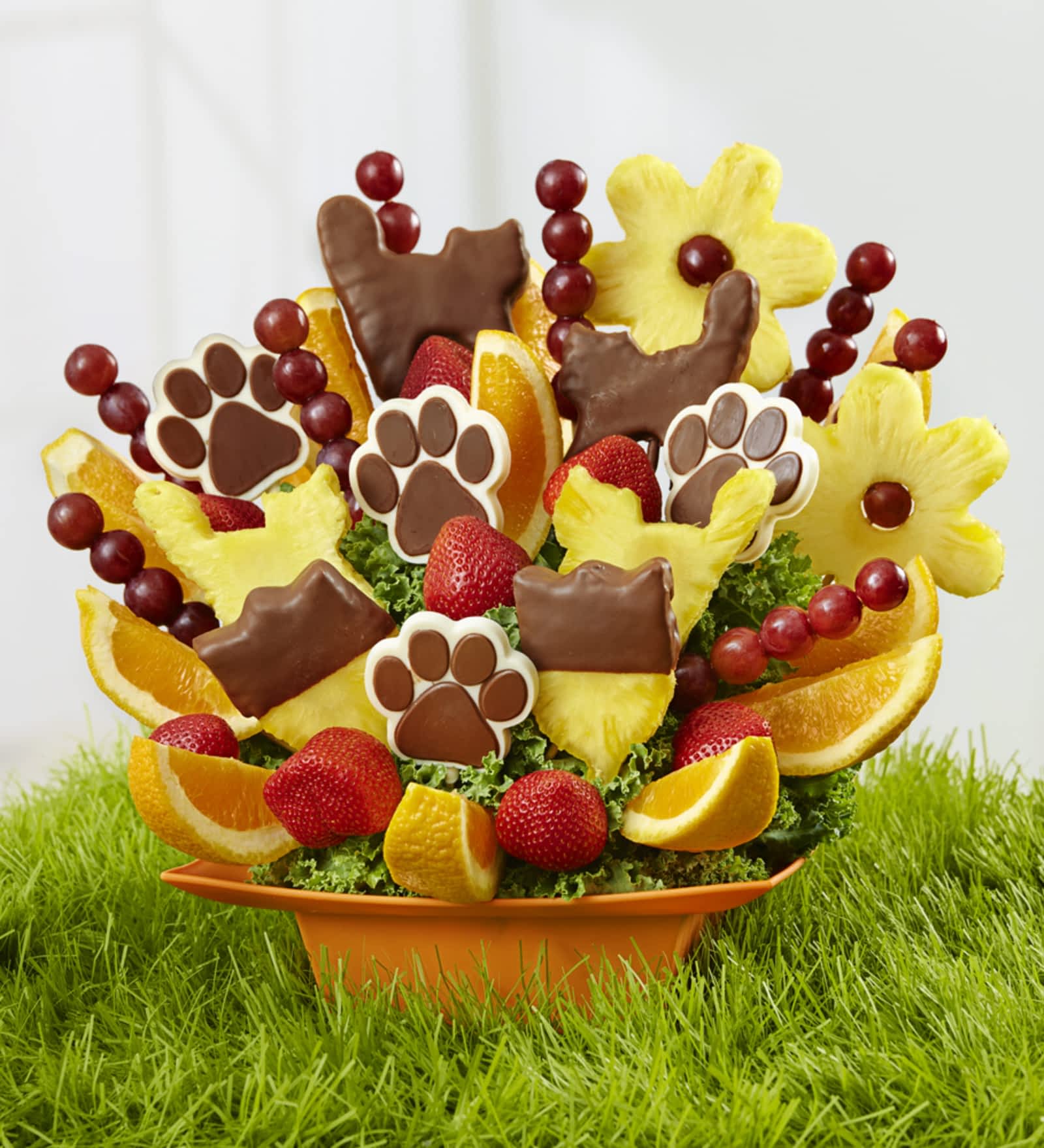 Edible Fruit Arrangements Opening Hours 157 King St W Chatham On