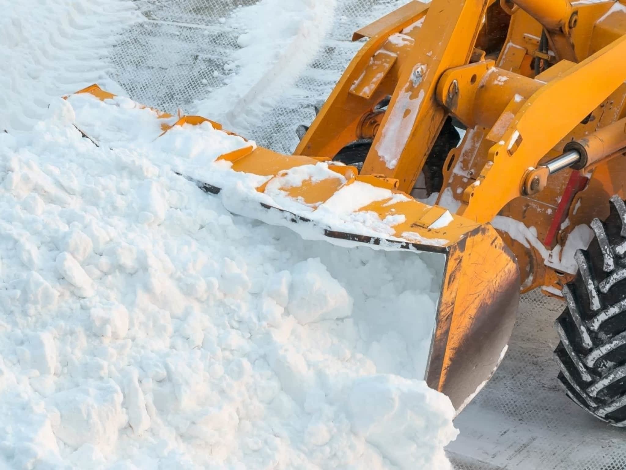 photo Be Yard Smart Inc