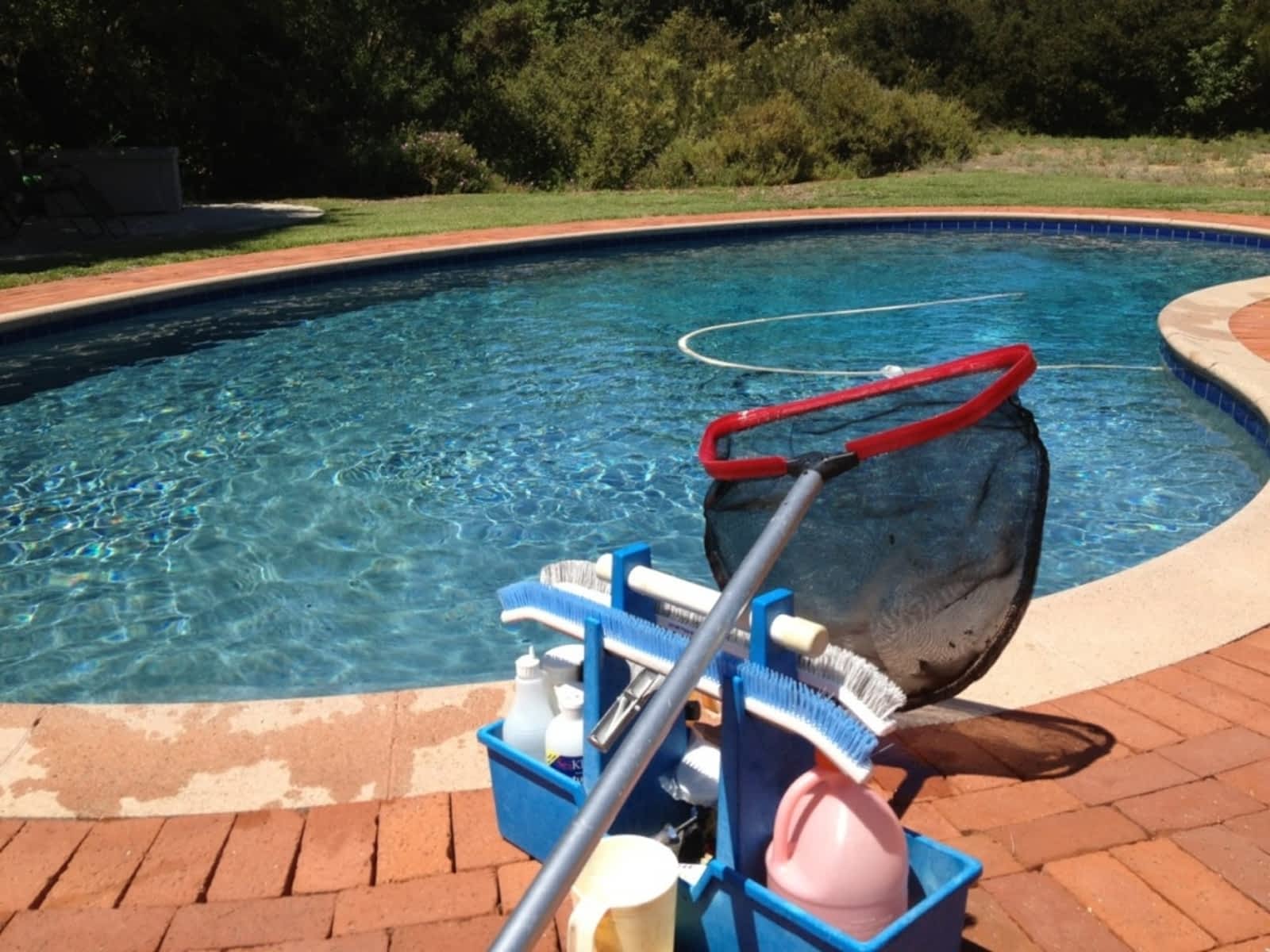 S Michael Brown Pool Spa Maintenance Opening Hours Nb