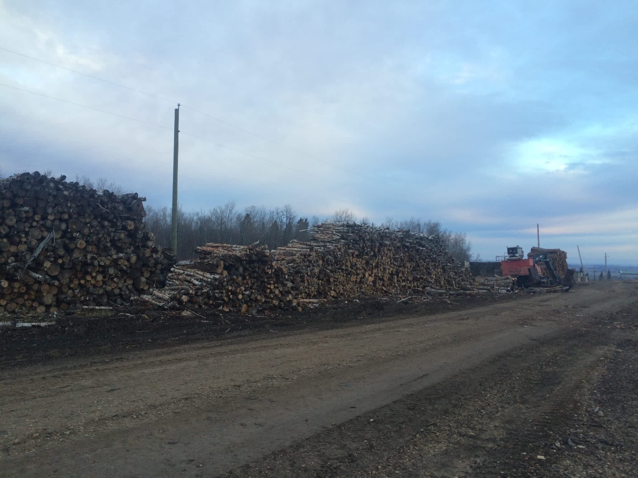 photo Riehl Lumber & Logging Inc