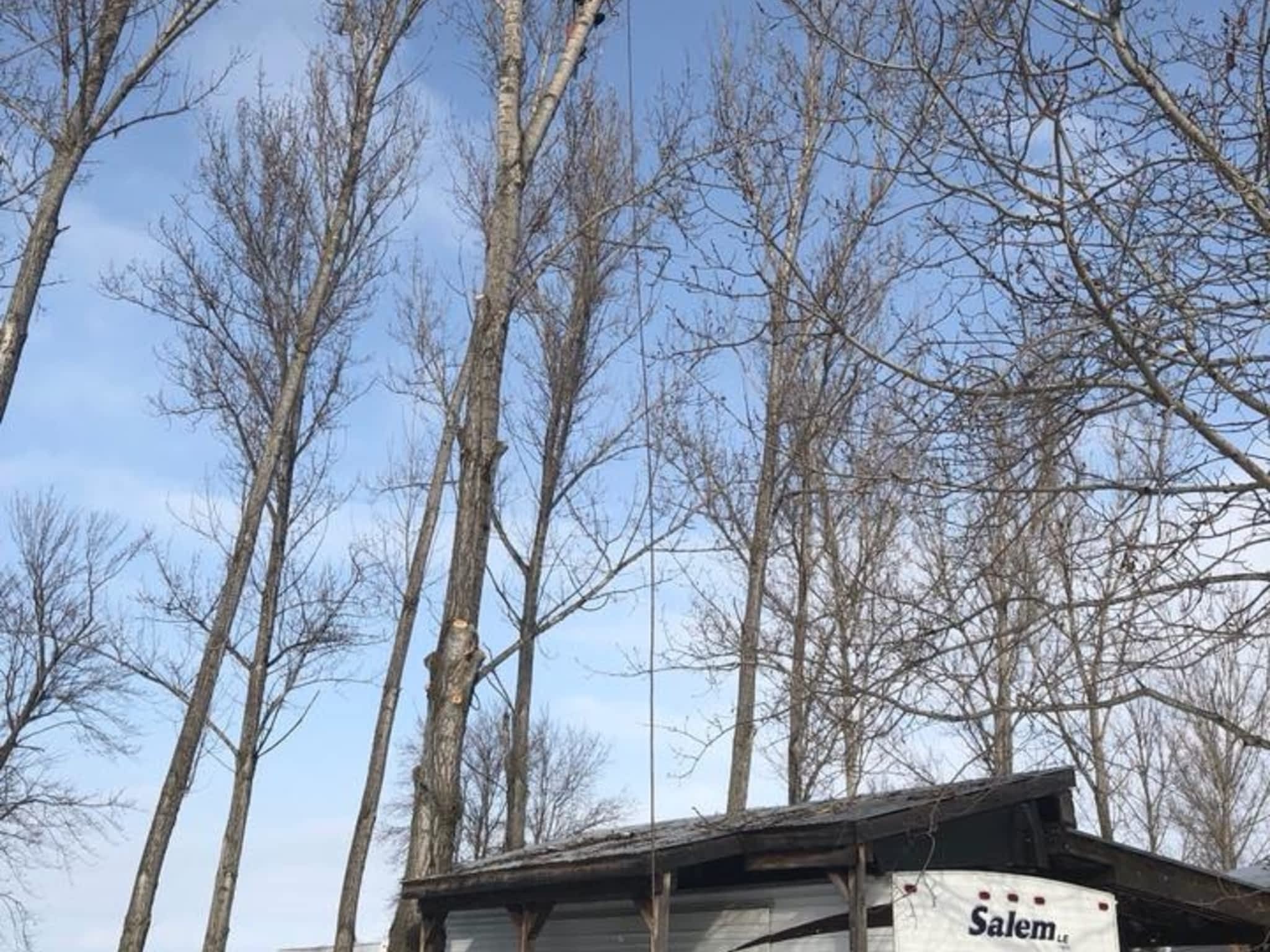 photo Emondage Patrick Perron