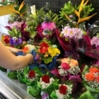 Comtois Fleurs - Florist Wholesalers
