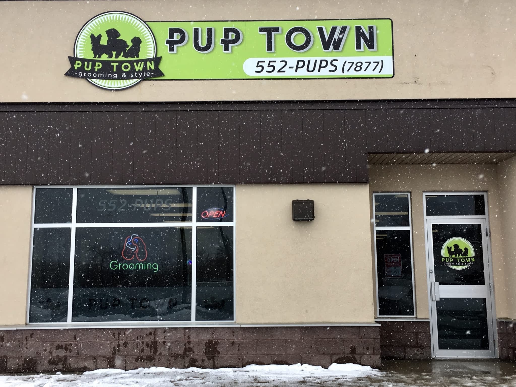 photo Puptown Dog Grooming