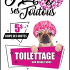 Marie et Ses Toutous - Pet Grooming, Clipping & Washing