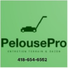 Pelousepro - Logo