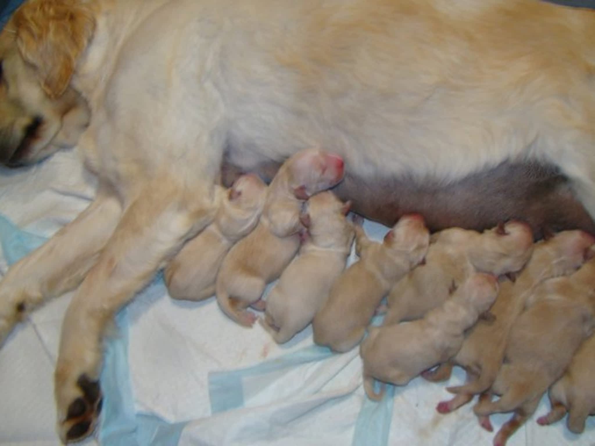 photo Au Soleil Levant