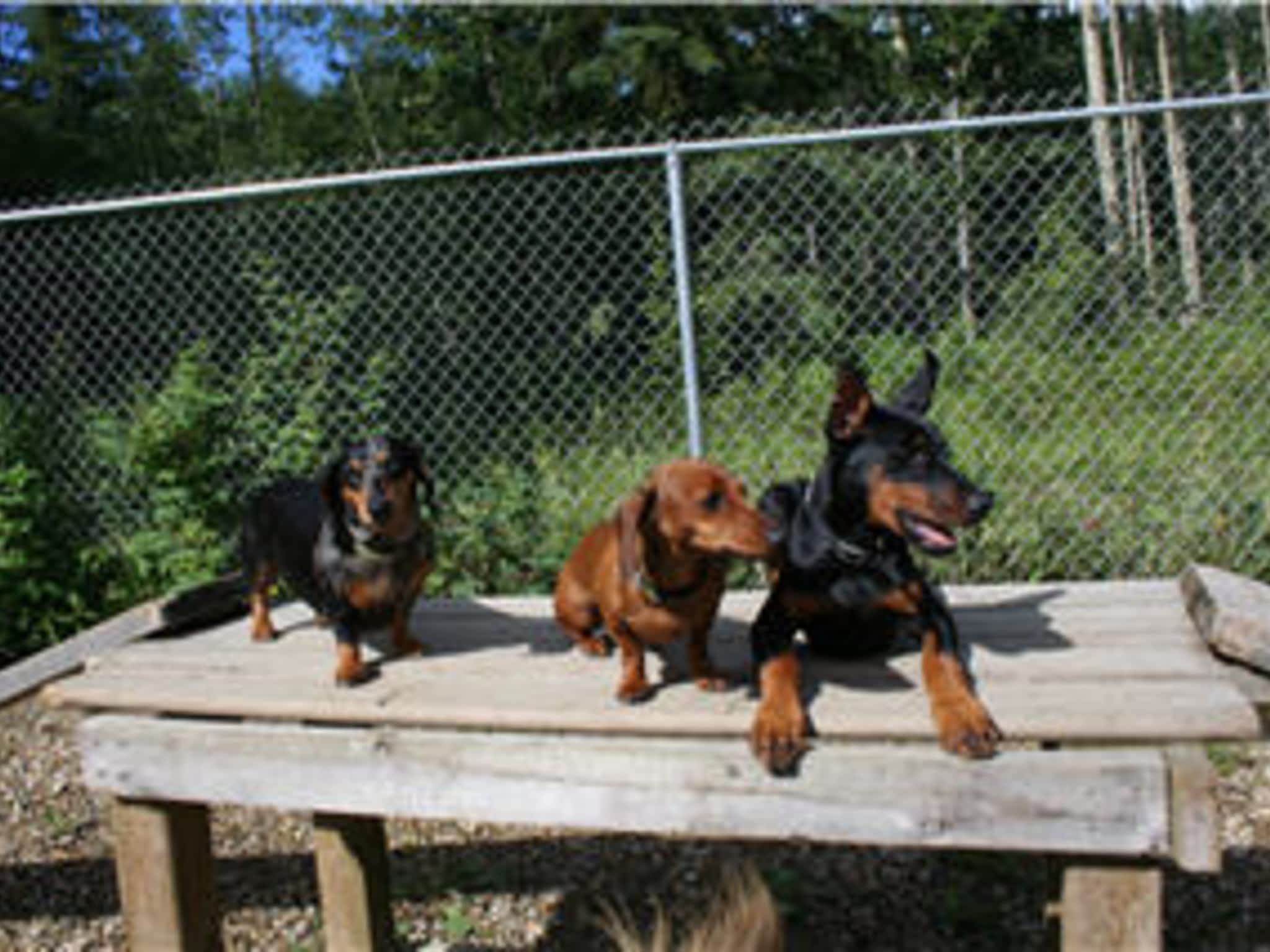 KeLore Kennels Grande Prairie, AB 69067 Highway 40 Canpages