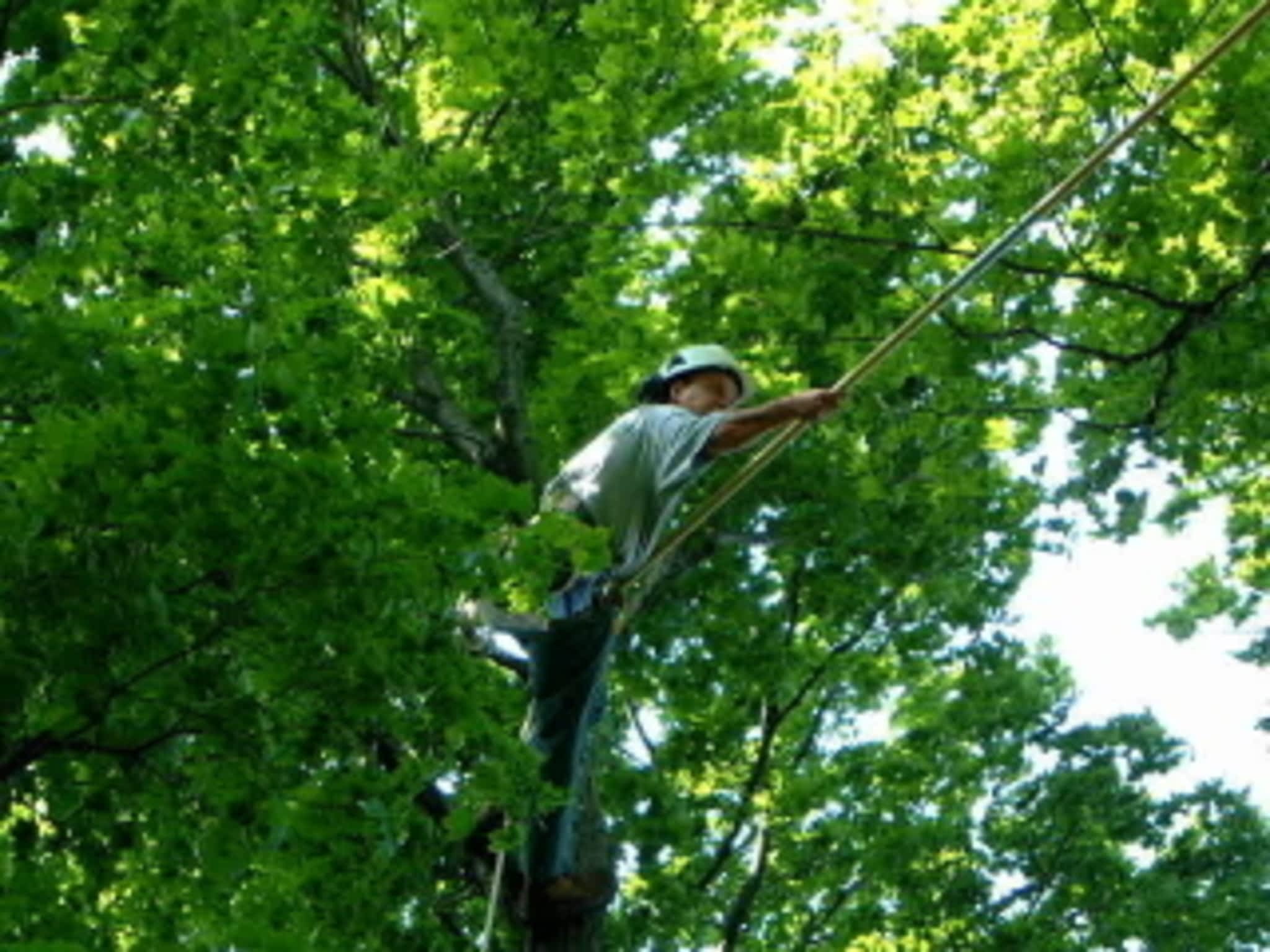 photo Meadowood Tree Service