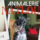 Animalerie Natlou - Logo