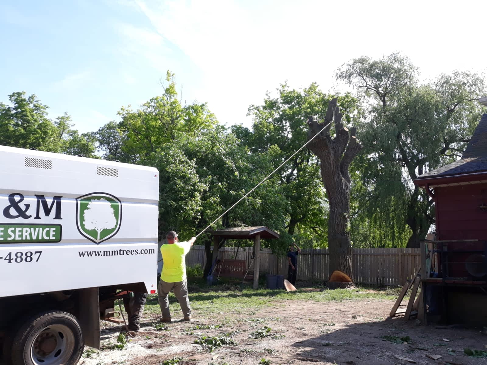 m&m tree service brantford