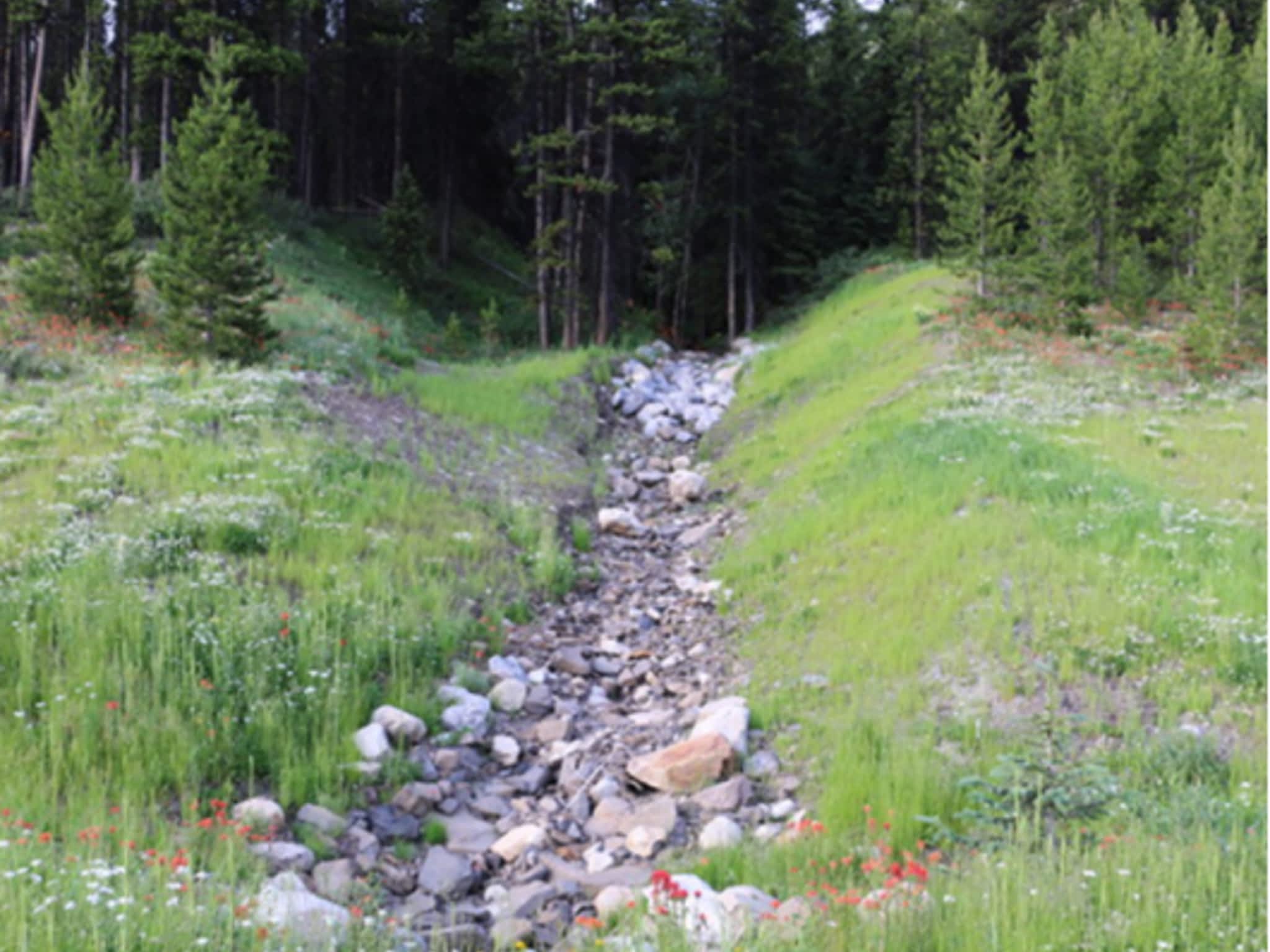 photo Grassland Hydroseed Ltd