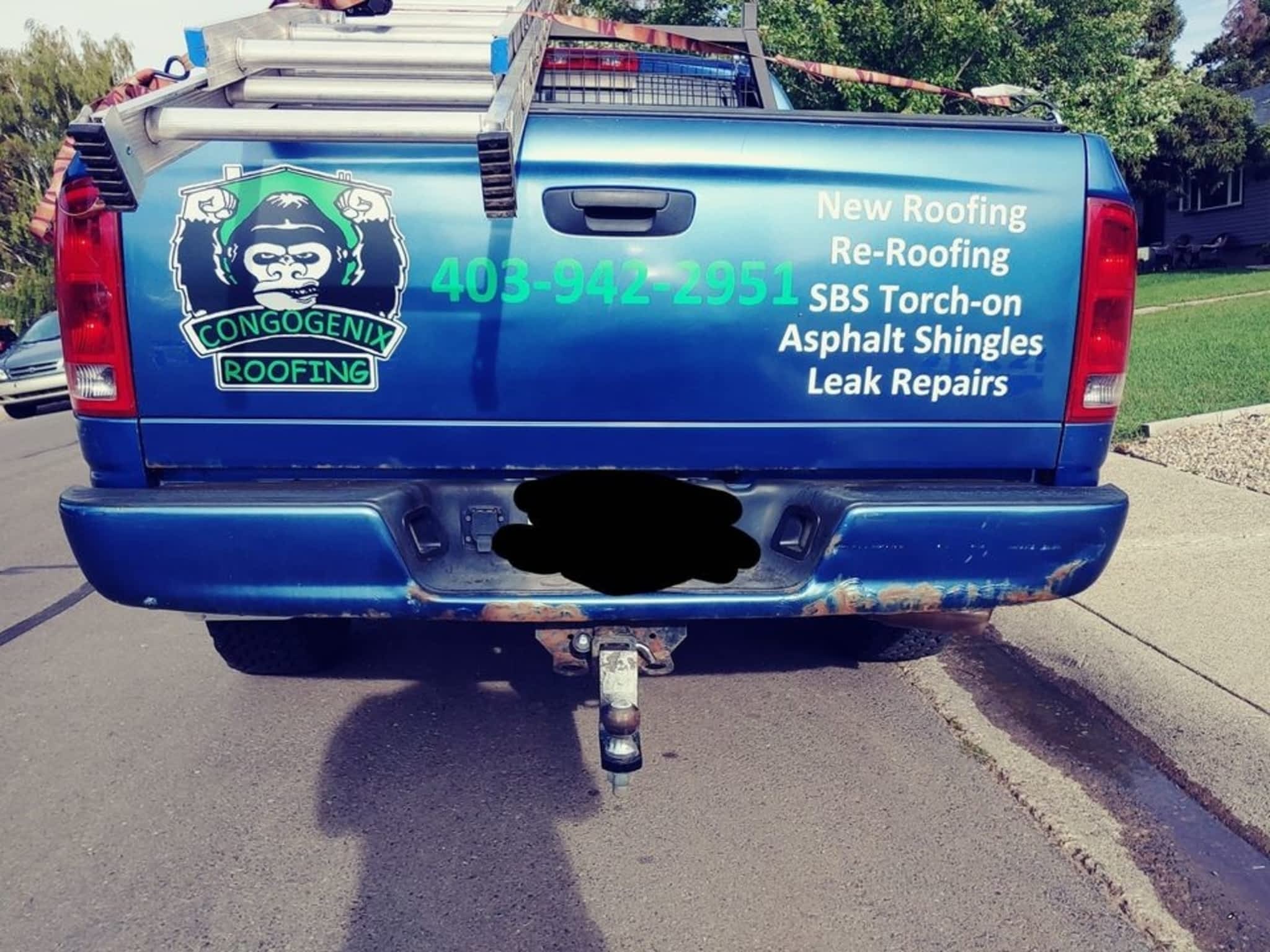 photo CongoGenix Roofing