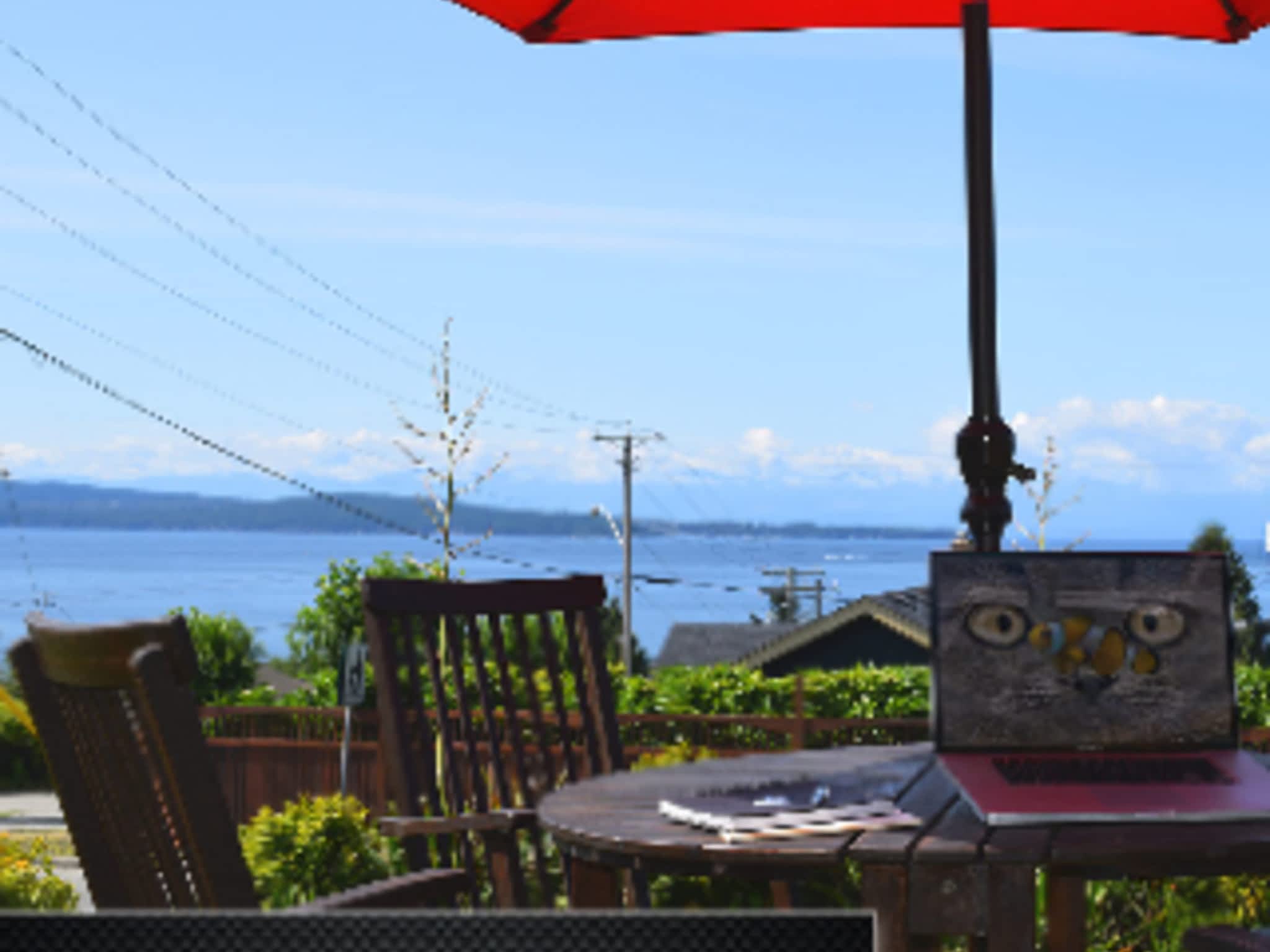 photo Catfish Creative