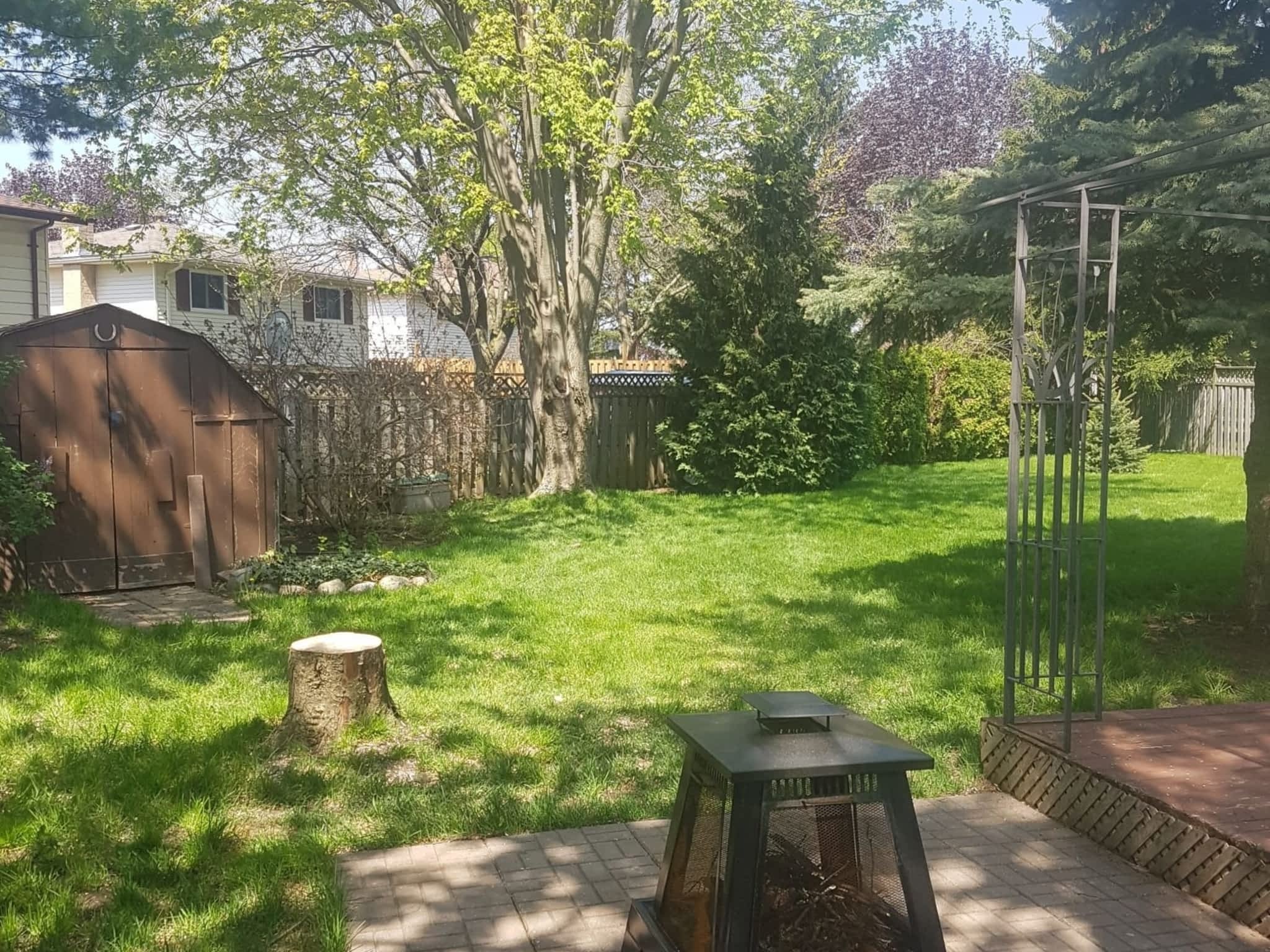 photo Wright's Tree Care