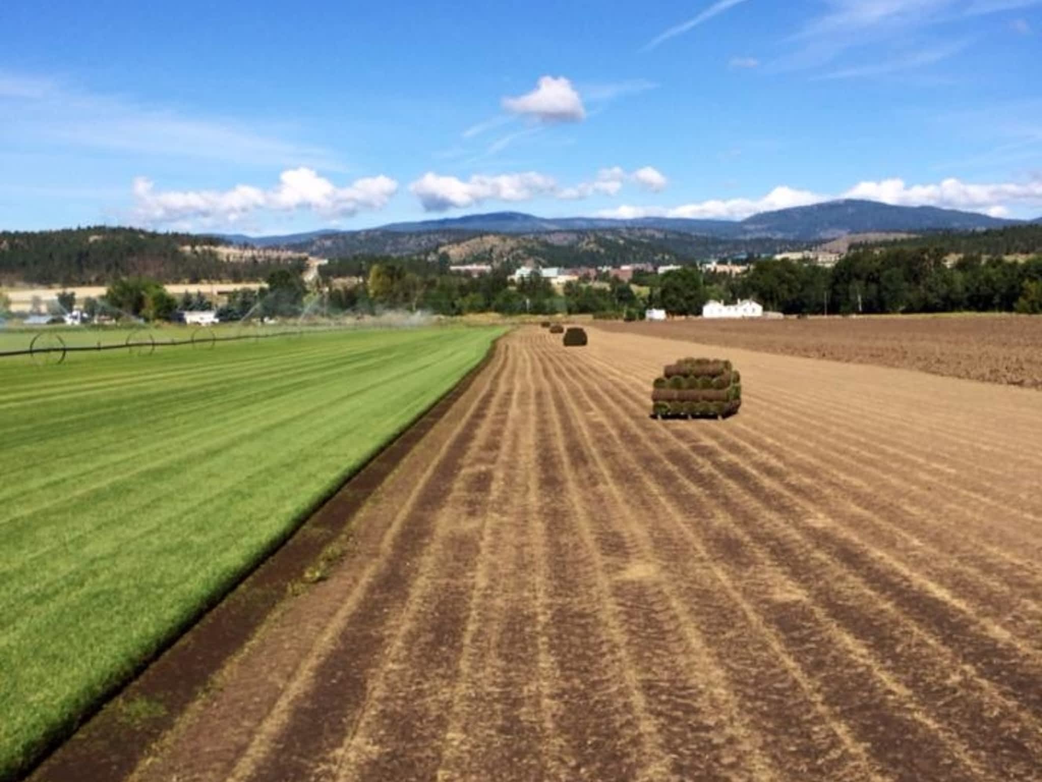 photo Macdonnell Turf Farms