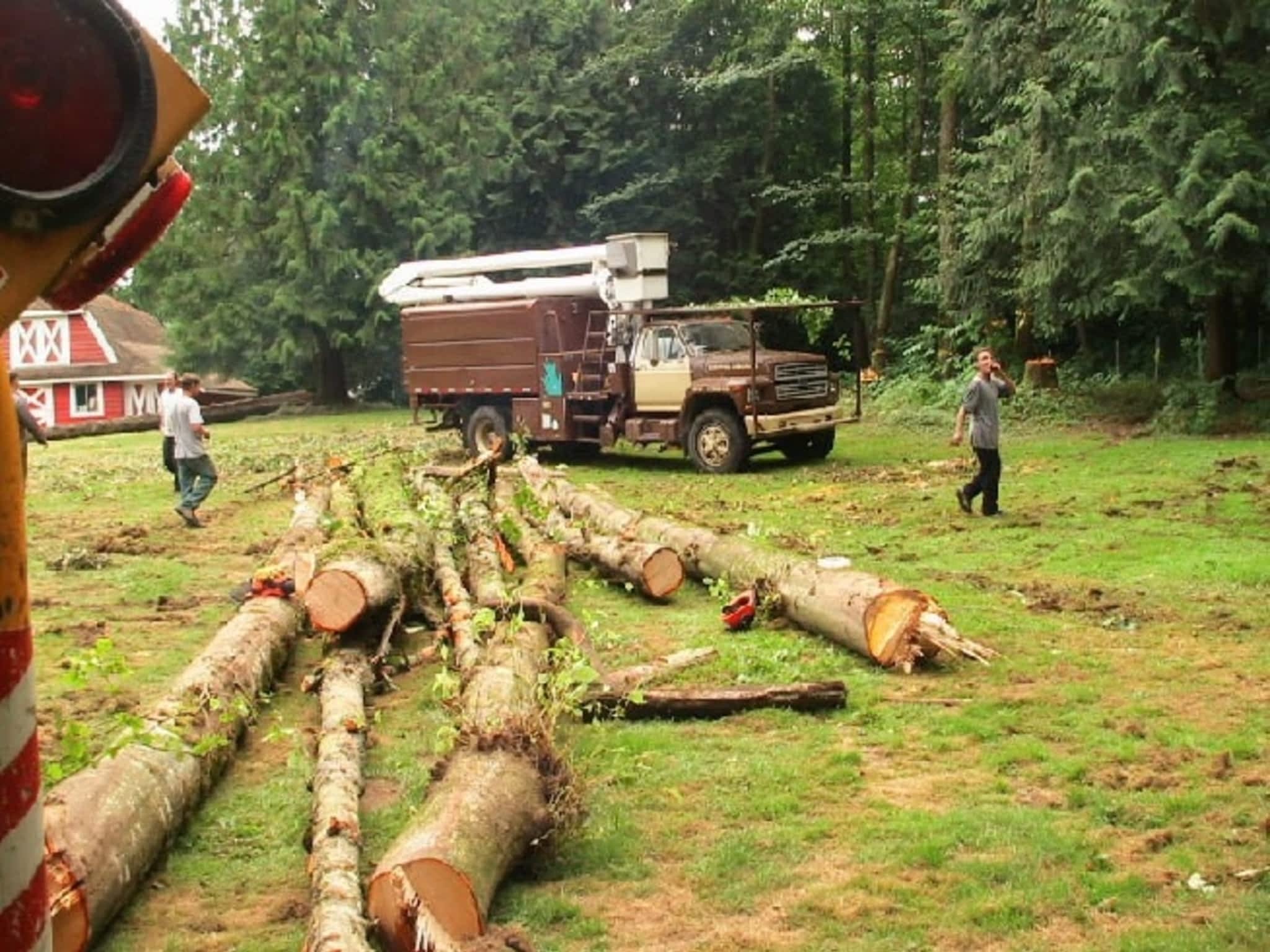 photo Pro Tree Services