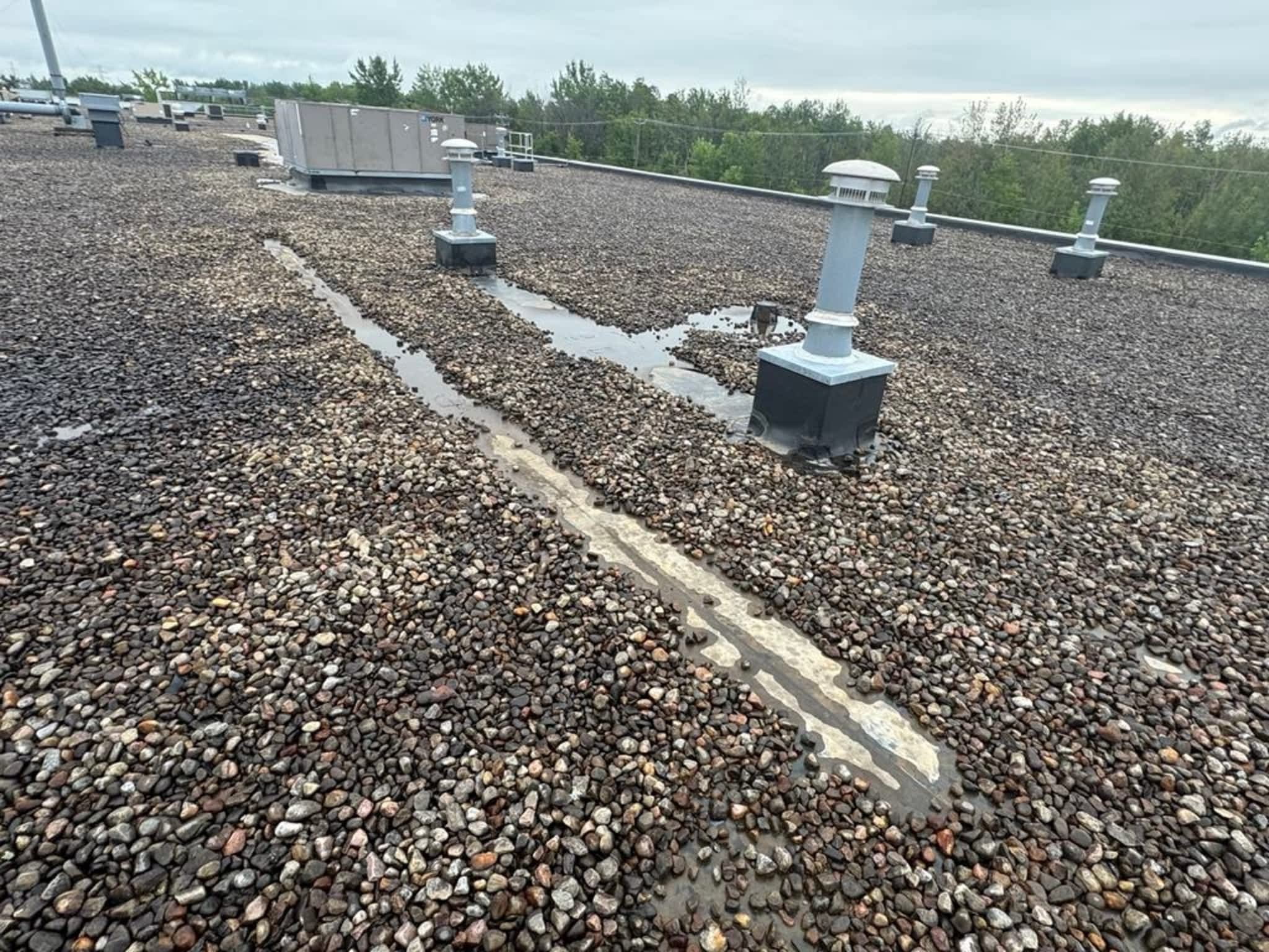 photo F2M Solutions