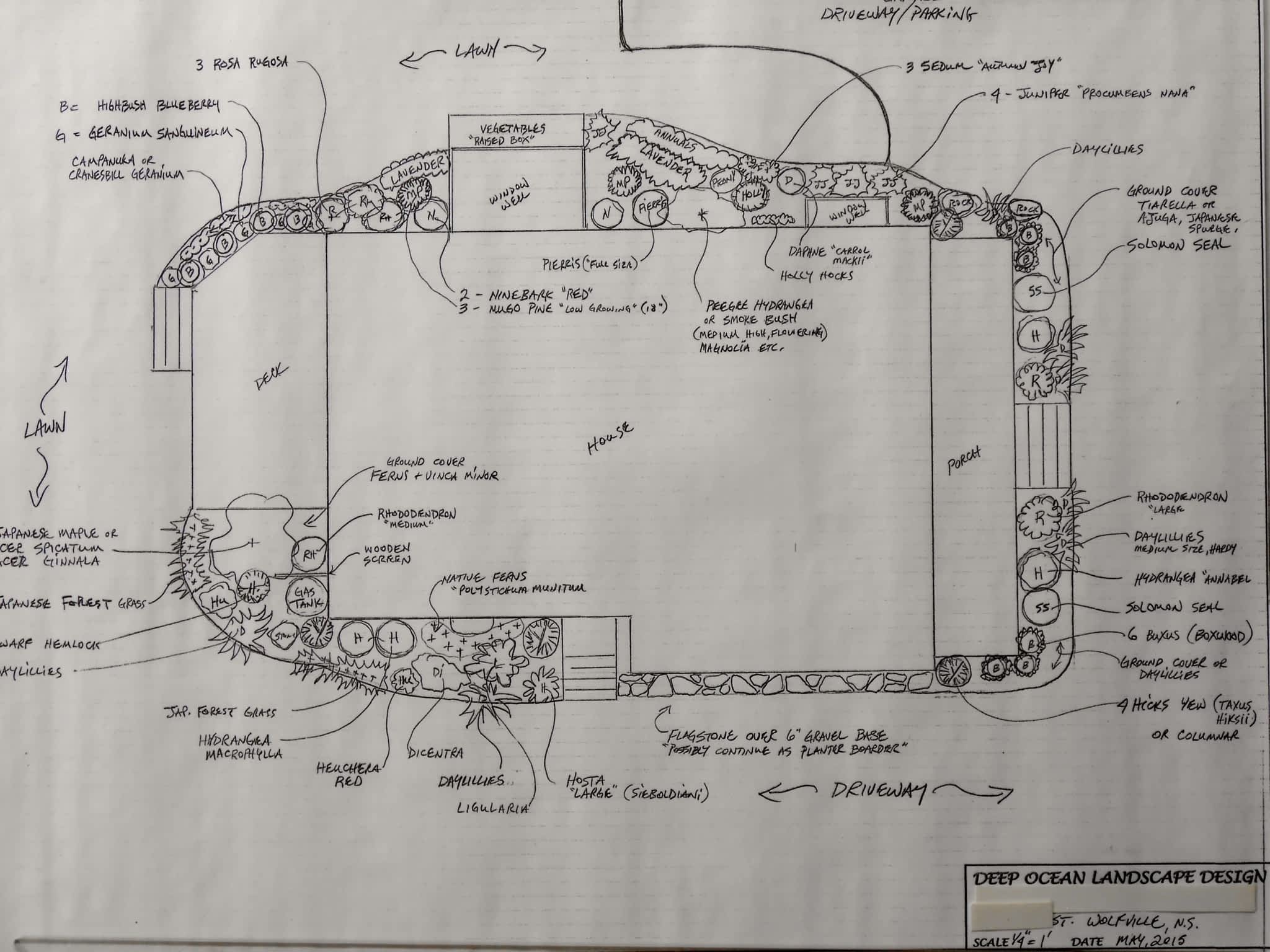 photo Deep Ocean Landscape Design