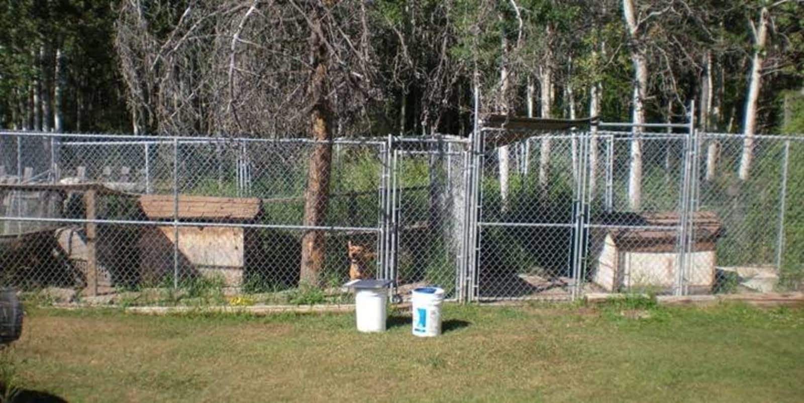 puppies r us near me