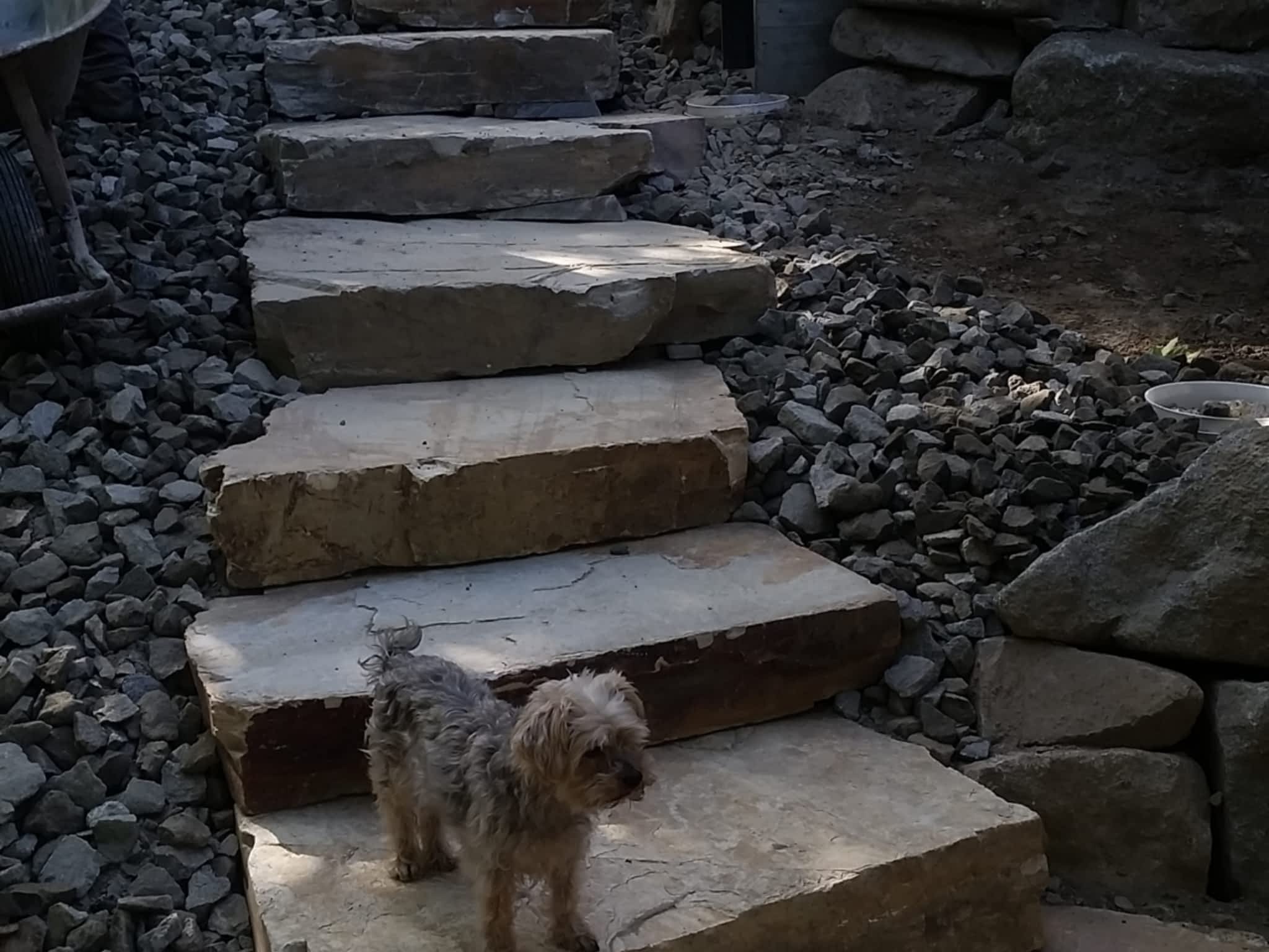 photo Scoop Excavating