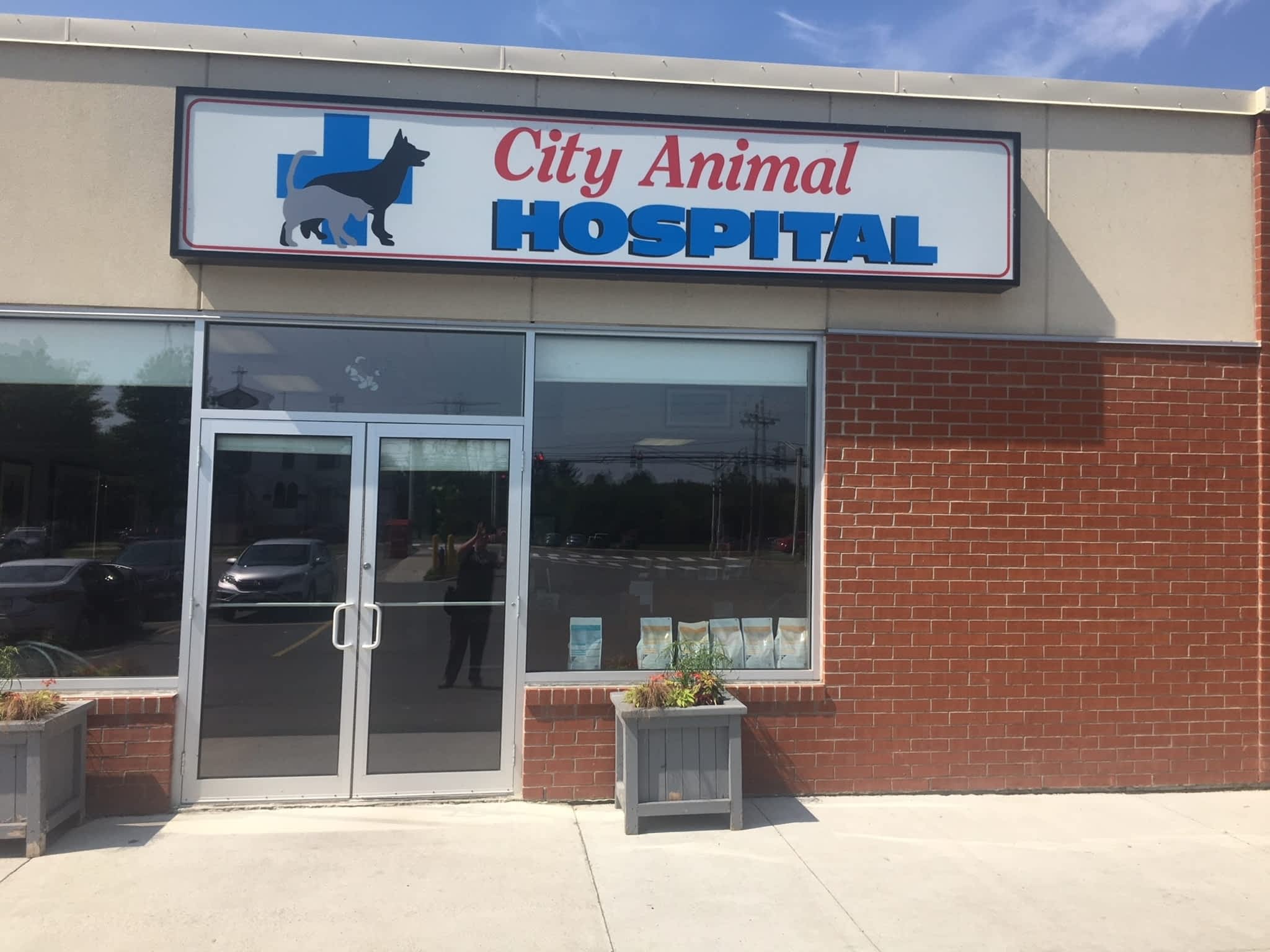 photo City Animal Hospital