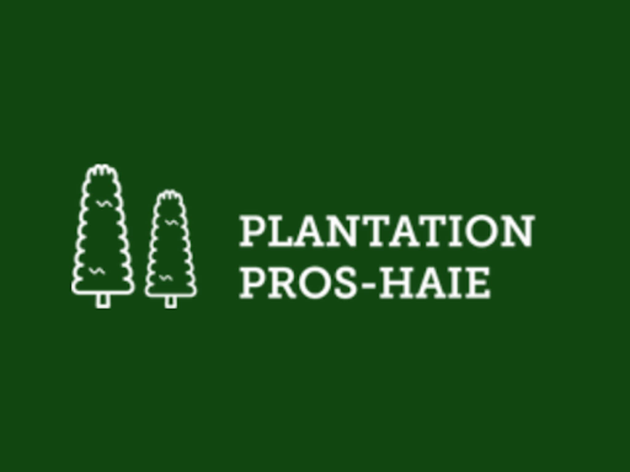 photo Plantation Pros-Haie de cèdres