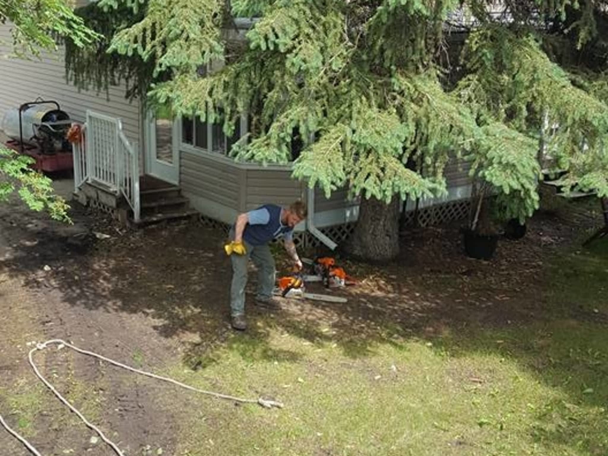 photo Borderline Services Ltd