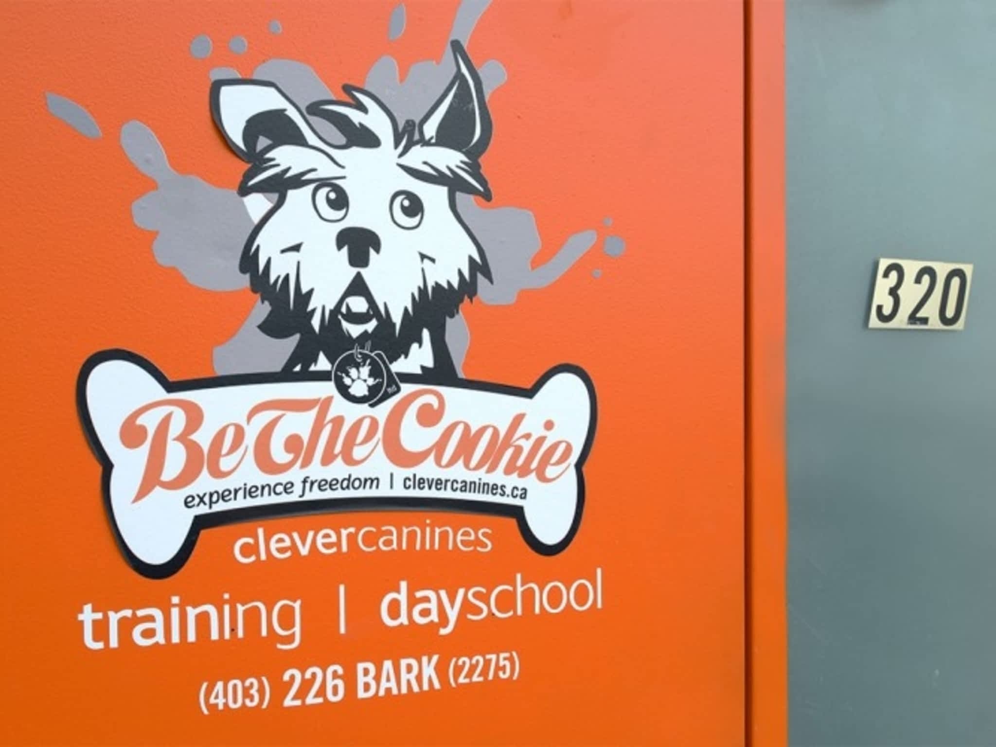 photo Clever Canines Ltd