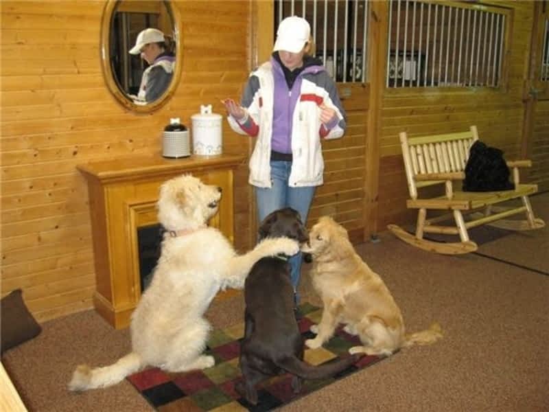 Country cottage outlet kennels