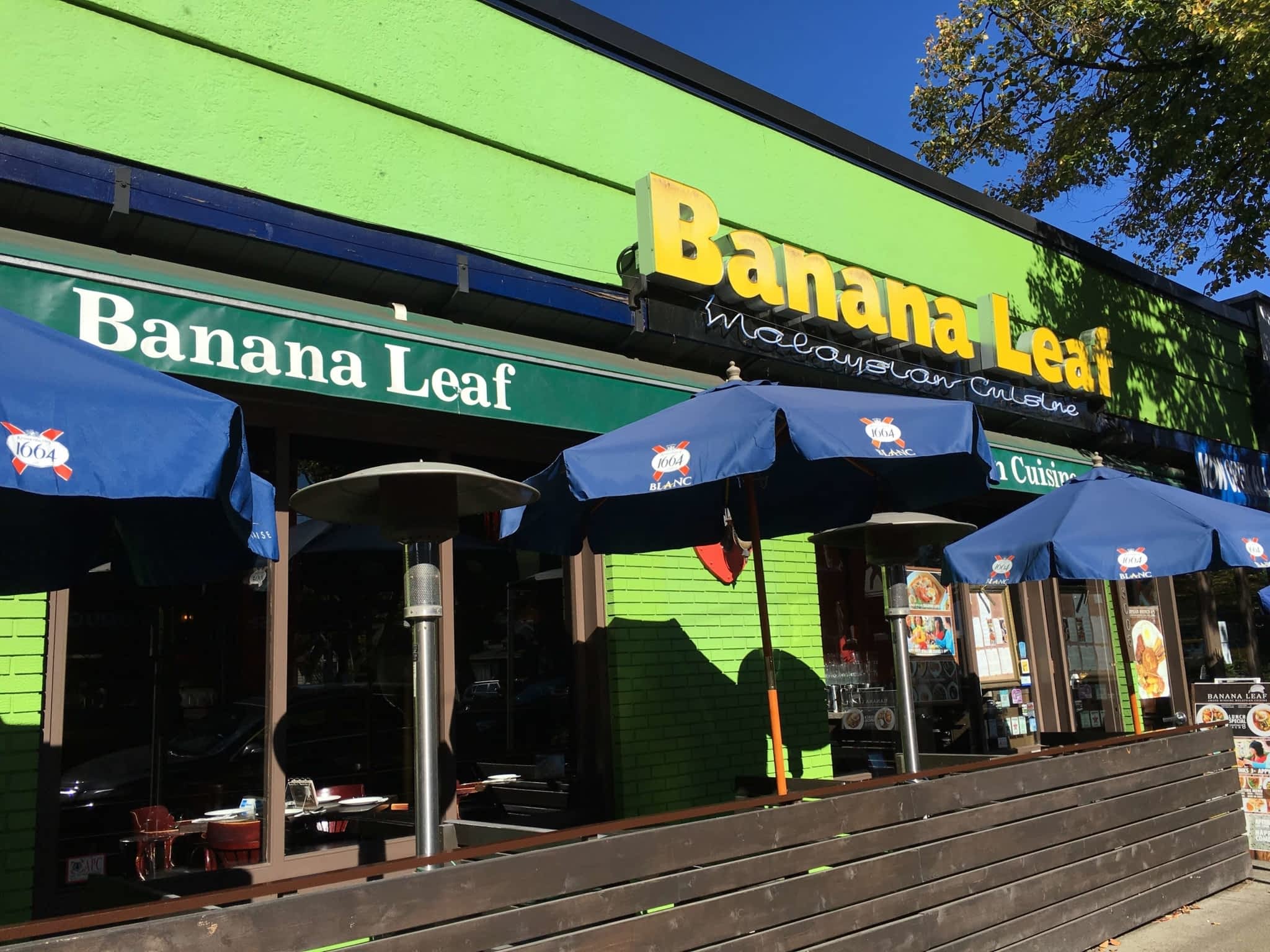 photo Banana Leaf