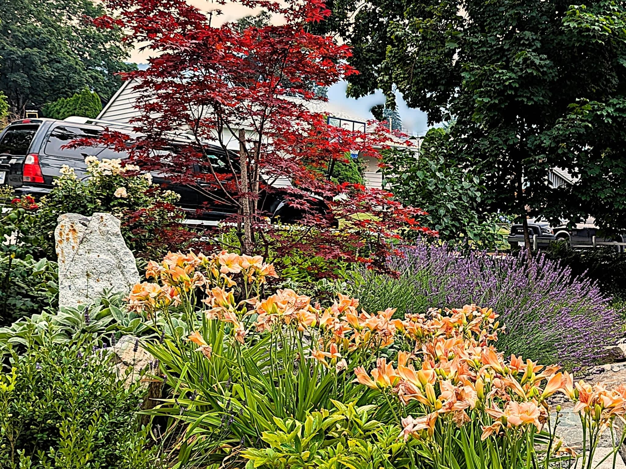 photo Bloom Garden Design