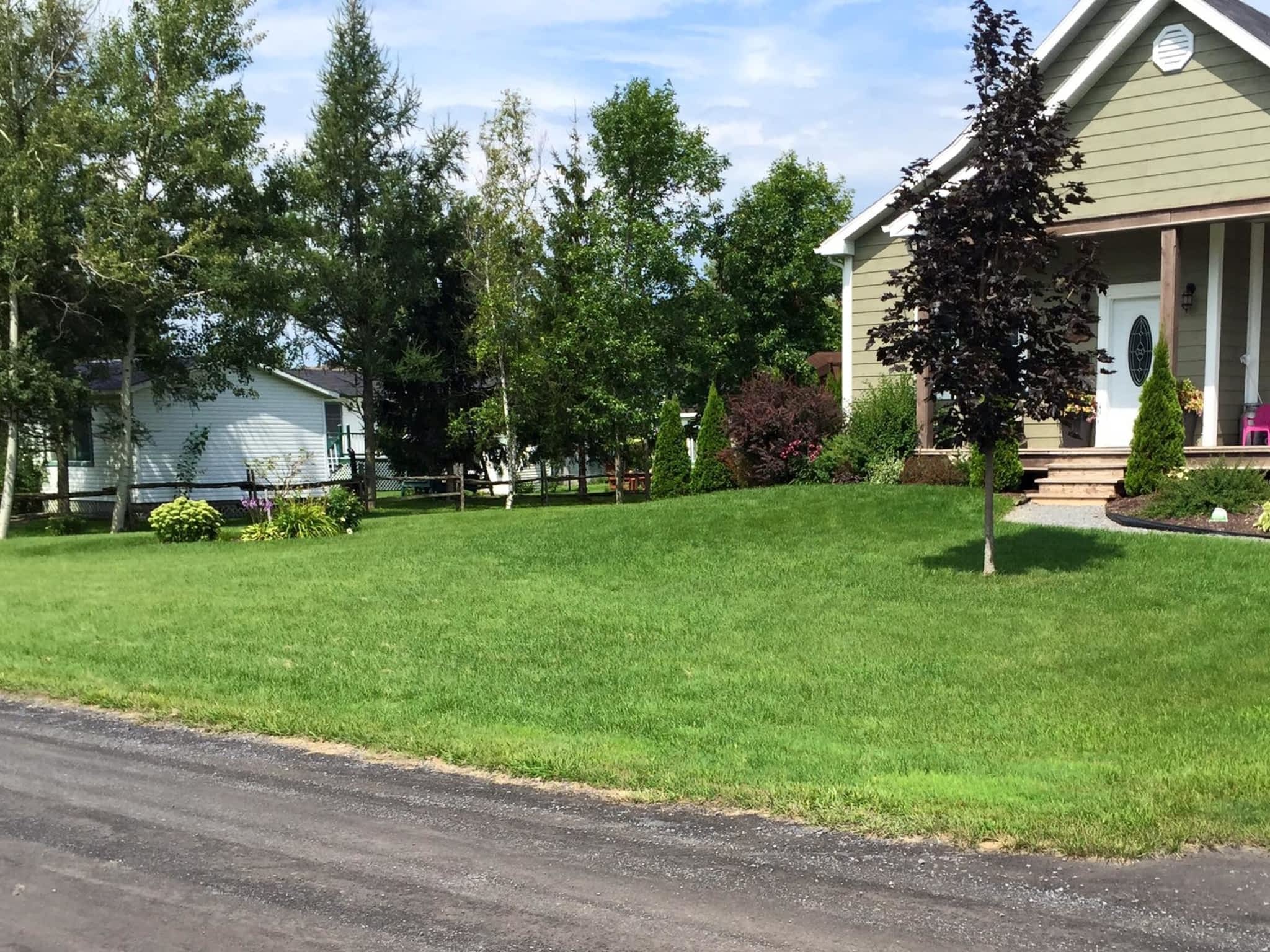 photo Qualité Pelouse