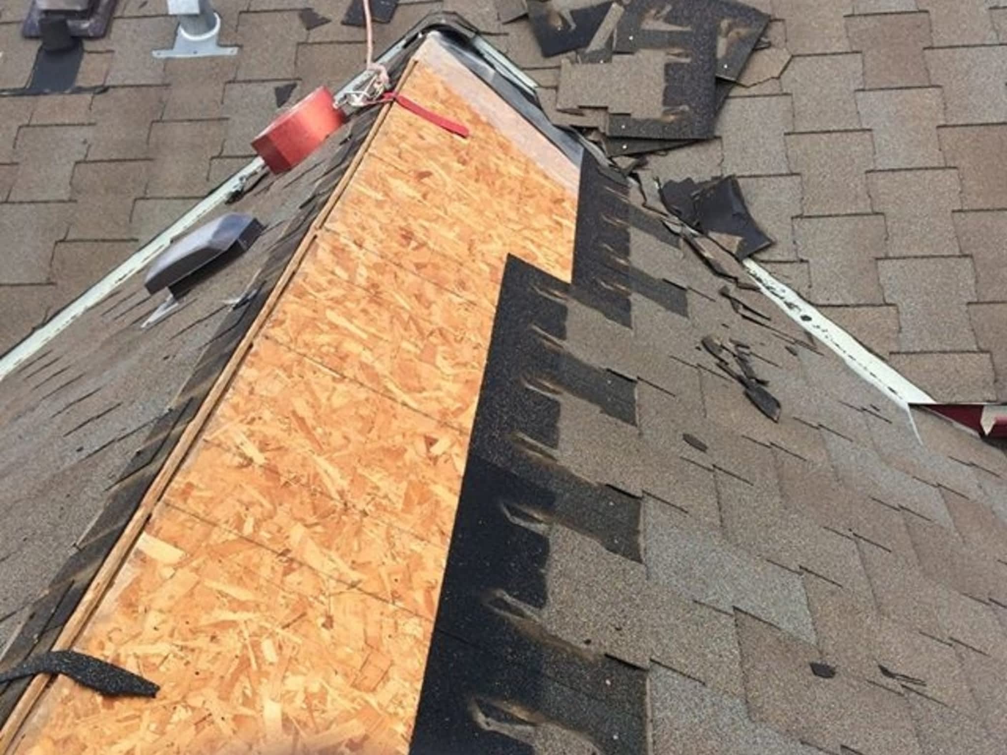 photo Globelgreen Ltd