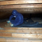 Dome Contracting & Insulation - Entrepreneurs en isolation contre la chaleur et le froid