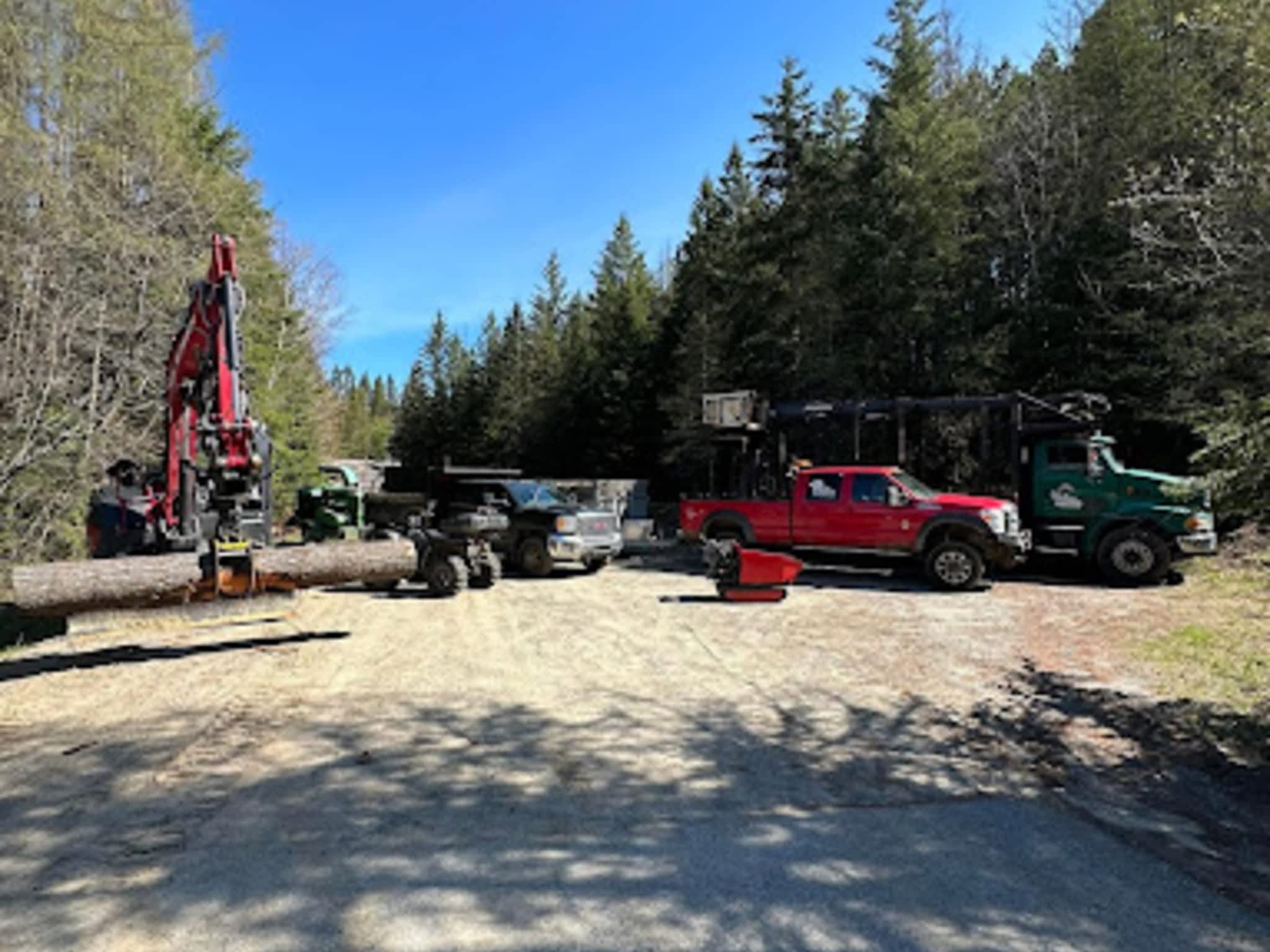 photo Abattage Maisonneuve